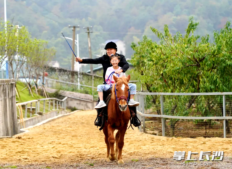 游客在体验骑马驰骋的快感。均为长沙晚报通讯员 刘静 摄