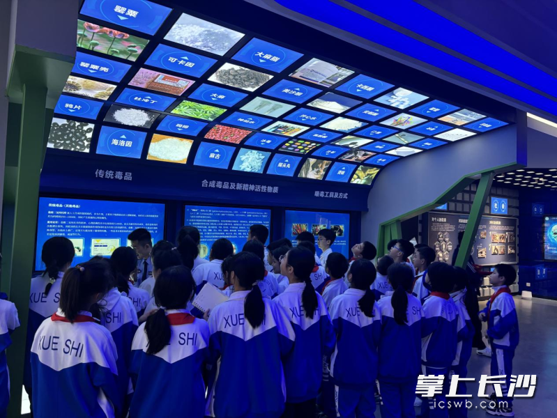 周南学士实验学校学生走进湖南湘江新区禁毒教育基地进行实地参观。均为长沙晚报通讯员刘艳梅供图