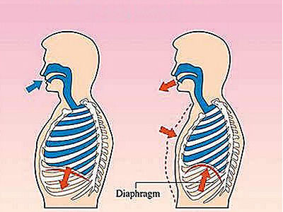 张嘴呼吸并不意味着能吸进去更多的氧气，反而会因为呼吸方式不对，压迫到了鼻腔而影响呼吸，让大脑处于缺氧状态。