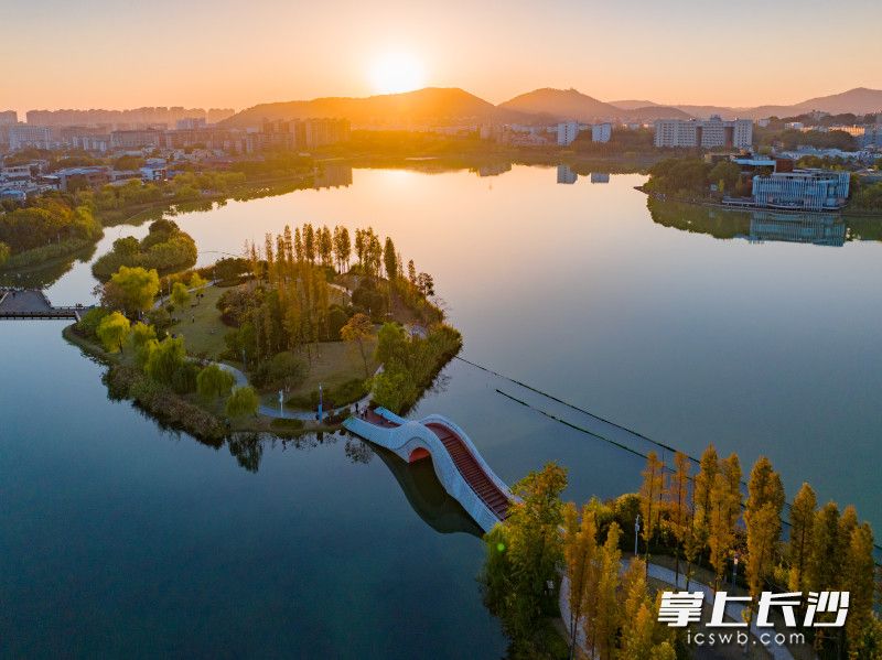 后湖秋色。长沙晚报全媒体记者 邹麟 摄