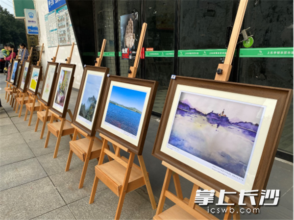 艺术作品展