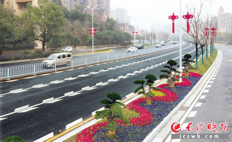 如今，精致精美的绿化带成为路上一道亮丽的风景。邹麟 摄