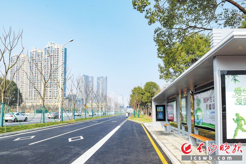 港湾式公交车站让乘客更安全更温馨。陈飞 摄