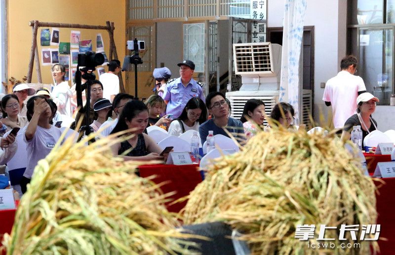 7月10日，2023中国自然教育大会湖南分论坛在宁乡市金洲镇箭楼村自然与人文教育基地举办。均为长沙晚报全媒体记者 贺文兵 摄