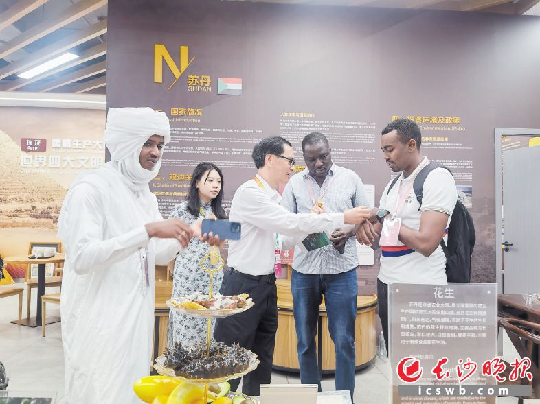 作为本次博览会的重要分展馆,高桥分展馆累计举办45场专题活动及巡馆考察,吸引超1.7万名参展商和采购商。 作为本次博览会的重要分展馆,高桥分展馆累计举办45场专题活动及巡馆考察,吸引超1.7万名参展商和采购商。