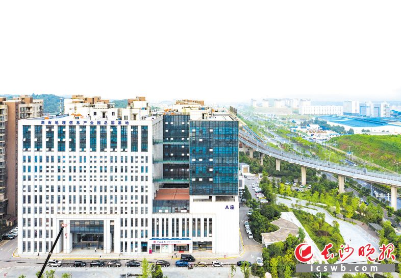 天心区产业兴盛，交通发达。邹麟 摄