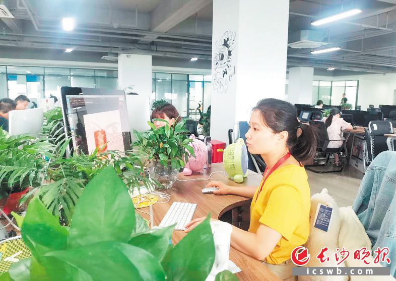 天心区数字经济吸引了大批人才。陈飞 摄