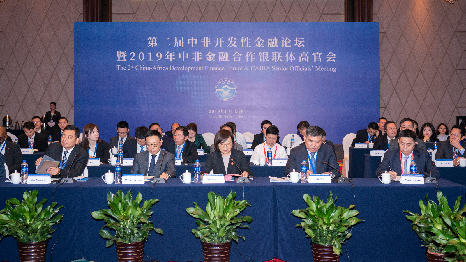 由国家开发银行牵头举办的第二届中非开发性金融论坛暨2019年中非金融合作银联体高官会日前在长沙召开。长沙晚报全媒体记者 周辉霞 摄